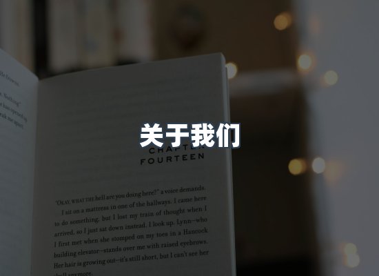 专业团队